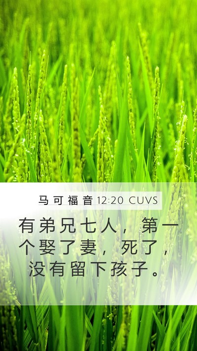 马 可 福 音 12:20 CUVS Bible Verse Image