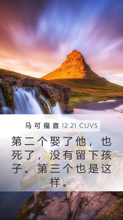 马 可 福 音 12:21 CUVS Mobile Phone Wallpaper - 第 二 个 娶 了 他 ， 也 死 了 ， 没 - Mobile Bible Verse Wallpaper