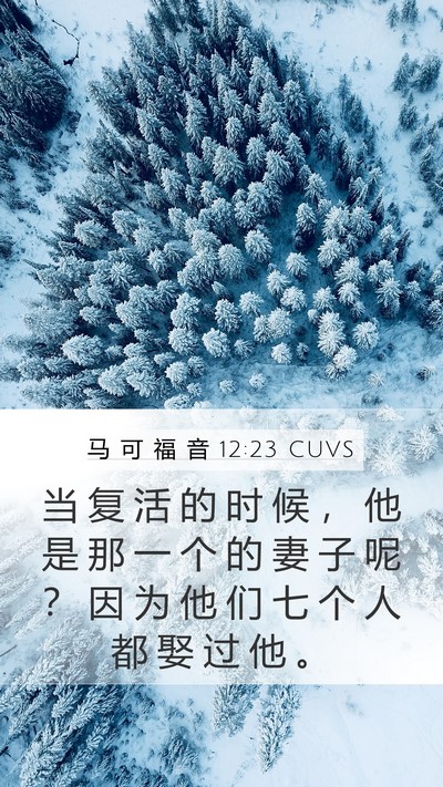 马 可 福 音 12:23 CUVS Bible Verse Image