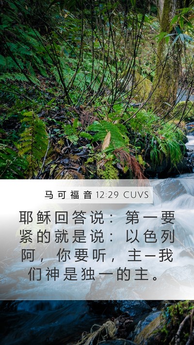 马 可 福 音 12:29 CUVS Bible Verse Image