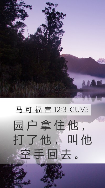马 可 福 音 12:3 CUVS Mobile Phone Wallpaper - 园 户 拿 住 他 ， 打 了 他 ， 叫 他 - Mobile Bible Verse Wallpaper