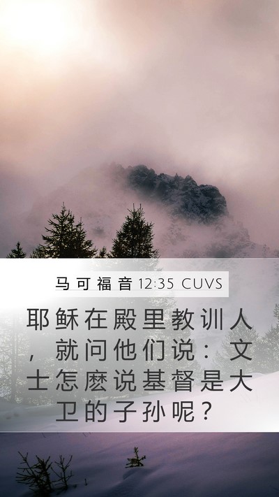 马 可 福 音 12:35 CUVS Bible Verse Image