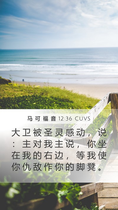 马 可 福 音 12:36 CUVS Bible Verse Image