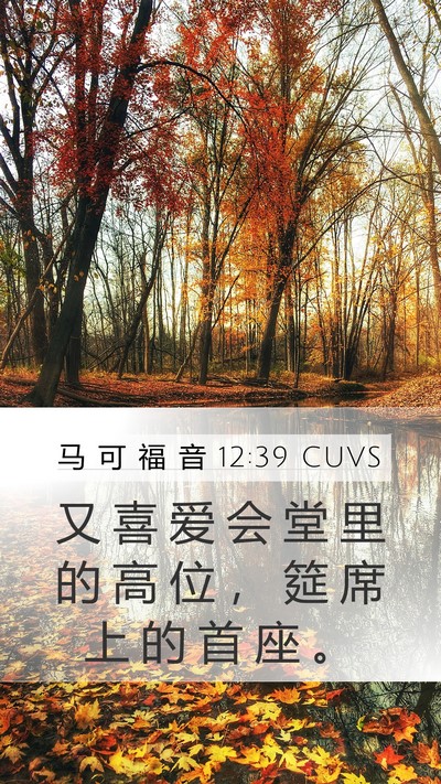 马 可 福 音 12:39 CUVS Mobile Phone Wallpaper - 又 喜 爱 会 堂 里 的 高 位 ， 筵 席 - Mobile Bible Verse Wallpaper
