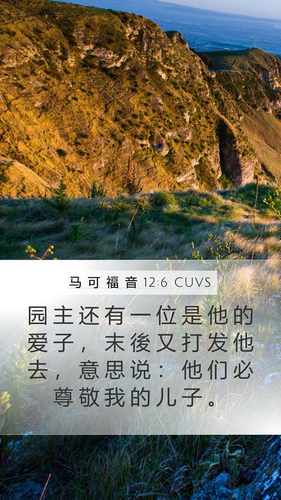 马 可 福 音 12:6 CUVS Bible Verse Image