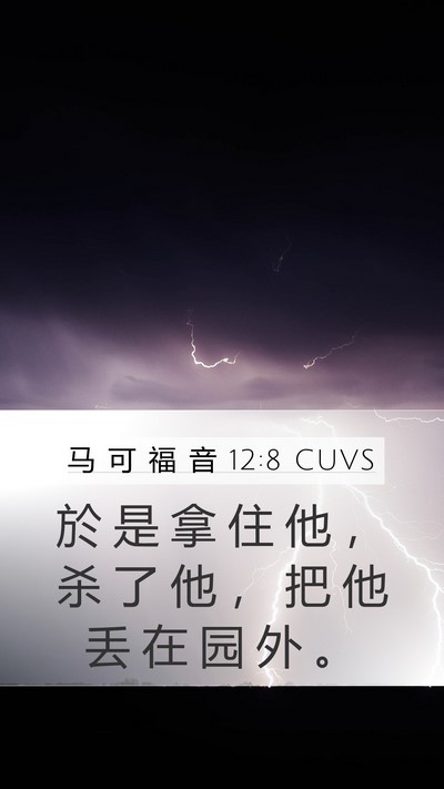 马 可 福 音 12:8 CUVS Mobile Phone Wallpaper - 於 是 拿 住 他 ， 杀 了 他 ， 把 他 - Mobile Bible Verse Wallpaper