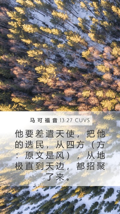 马 可 福 音 13:27 CUVS Bible Verse Image