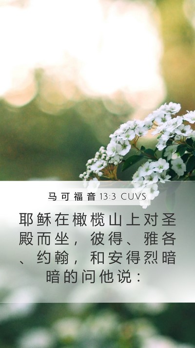 马 可 福 音 13:3 CUVS Bible Verse Image