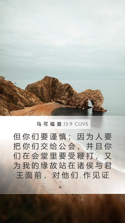马 可 福 音 13:9 CUVS Bible Verse Image