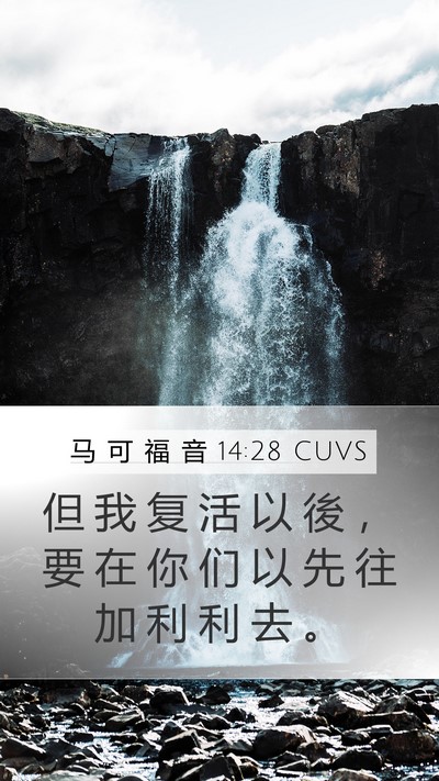 马 可 福 音 14:28 CUVS Bible Verse Image