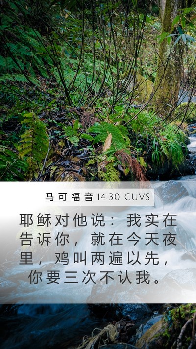 马 可 福 音 14:30 CUVS Bible Verse Image