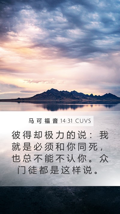 马 可 福 音 14:31 CUVS Bible Verse Image