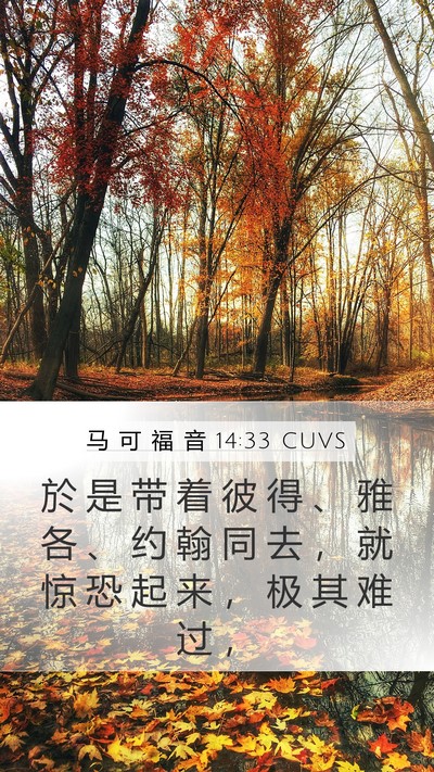 马 可 福 音 14:33 CUVS Bible Verse Image
