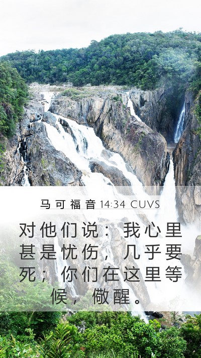 马 可 福 音 14:34 CUVS Bible Verse Image