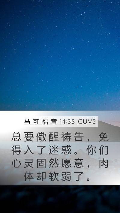 马 可 福 音 14:38 CUVS Mobile Phone Wallpaper - 总 要 儆 醒 祷 告 ， 免 得 入 了 迷 - Mobile Bible Verse Wallpaper