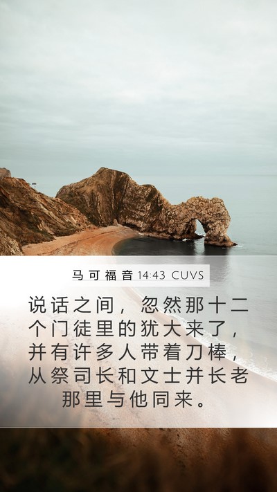 马 可 福 音 14:43 CUVS Bible Verse Image