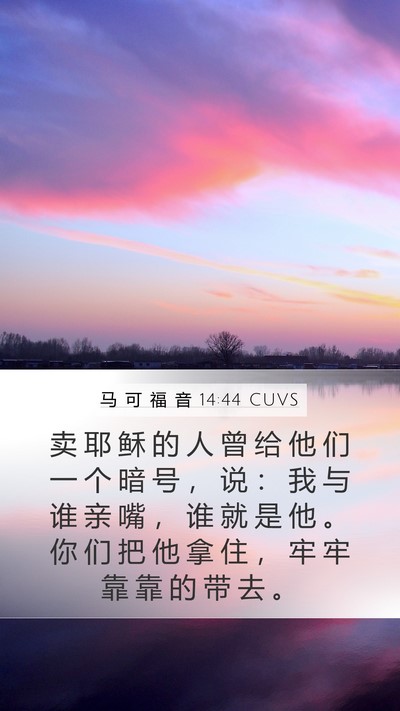 马 可 福 音 14:44 CUVS Bible Verse Image