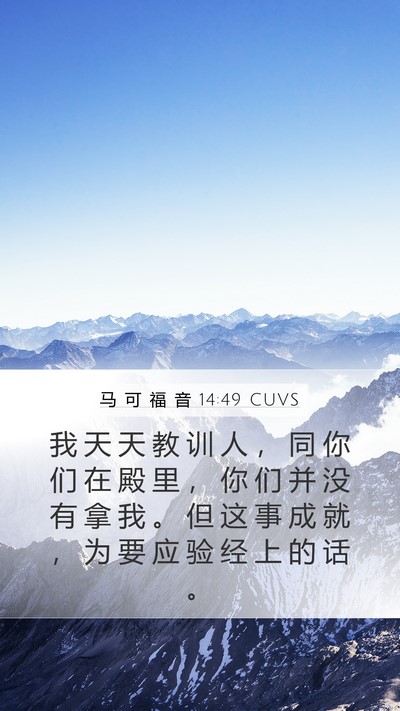 马 可 福 音 14:49 CUVS Mobile Phone Wallpaper - 我 天 天 教 训 人 ， 同 你 们 在 殿 - Mobile Bible Verse Wallpaper