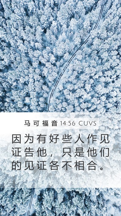 马 可 福 音 14:56 CUVS Bible Verse Image
