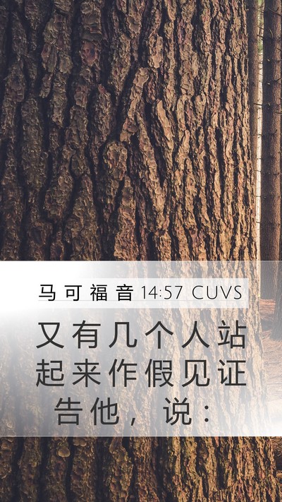 马 可 福 音 14:57 CUVS Bible Verse Image