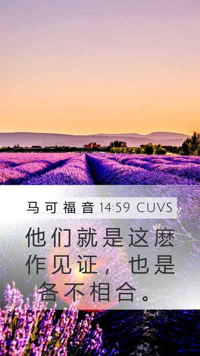 马 可 福 音 14:59 CUVS Mobile Phone Wallpaper - 他 们 就 是 这 麽 作 见 证 ， 也 是 - Mobile Bible Verse Wallpaper