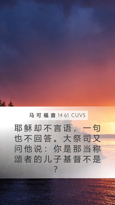 马 可 福 音 14:61 CUVS Bible Verse Image