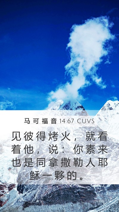 马 可 福 音 14:67 CUVS Mobile Phone Wallpaper - 见 彼 得 烤 火 ， 就 看 着 他 ， 说 - Mobile Bible Verse Wallpaper