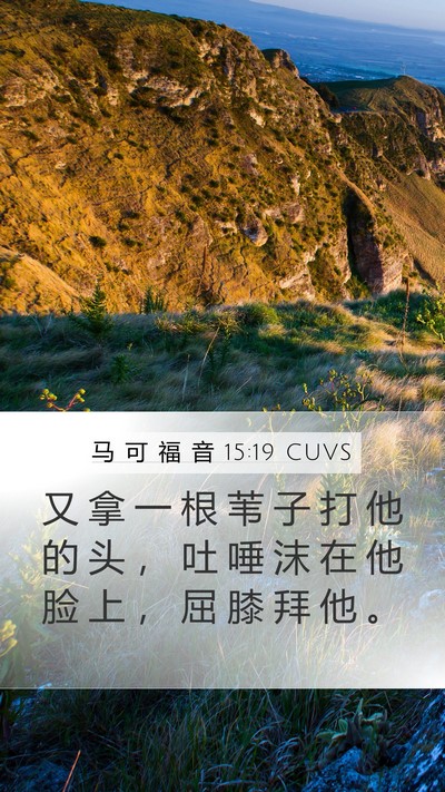 马 可 福 音 15:19 CUVS Bible Verse Image
