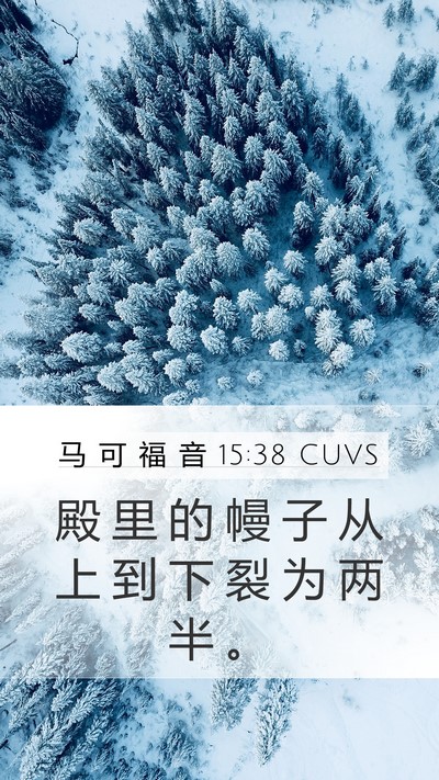 马 可 福 音 15:38 CUVS Bible Verse Image