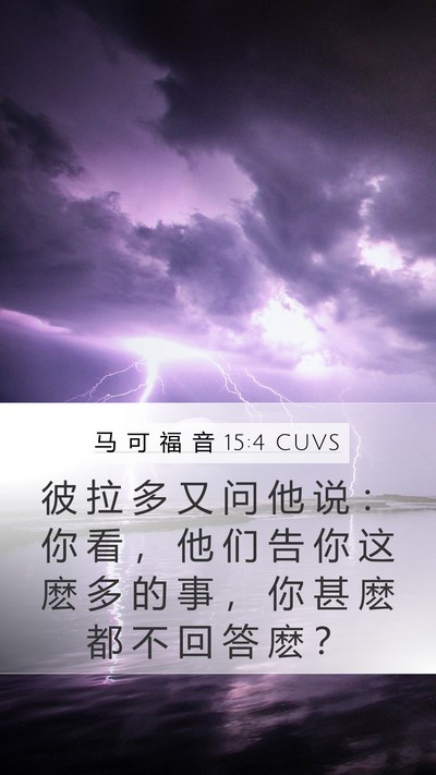马 可 福 音 15:4 CUVS Mobile Phone Wallpaper - 彼 拉 多 又 问 他 说 ： 你 看 ， 他 - Mobile Bible Verse Wallpaper