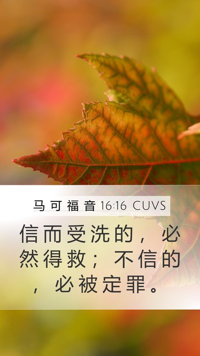 马 可 福 音 16:16 CUVS Bible Verse Image