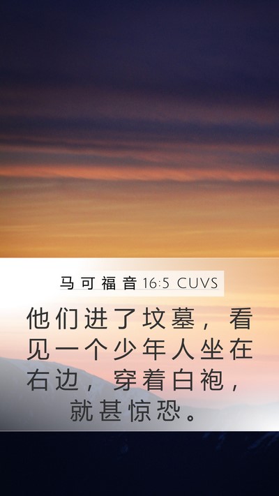马 可 福 音 16:5 CUVS Bible Verse Image