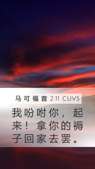 马 可 福 音 2:11 CUVS Mobile Phone Wallpaper - 我 吩 咐 你 ， 起 来 ！ 拿 你 的 褥 - Mobile Bible Verse Wallpaper