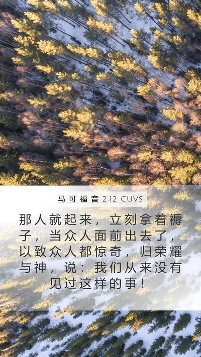 马 可 福 音 2:12 CUVS Bible Verse Image