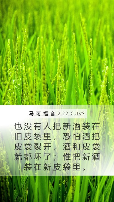 马 可 福 音 2:22 CUVS Mobile Phone Wallpaper - 也 没 有 人 把 新 酒 装 在 旧 皮 袋 - Mobile Bible Verse Wallpaper