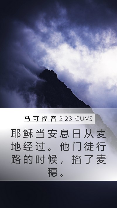 马 可 福 音 2:23 CUVS Bible Verse Image