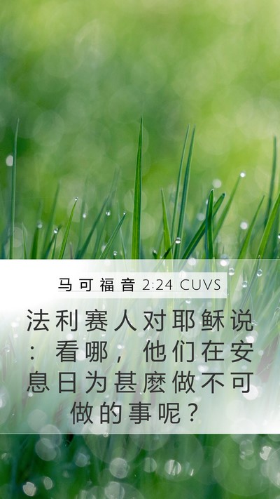 马 可 福 音 2:24 CUVS Bible Verse Image