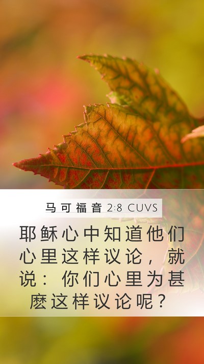 马 可 福 音 2:8 CUVS Bible Verse Image
