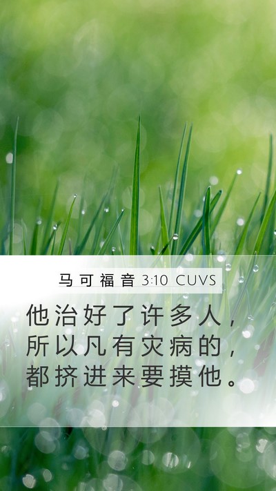 马 可 福 音 3:10 CUVS Bible Verse Image