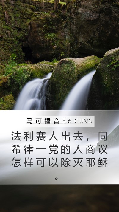 马 可 福 音 3:6 CUVS Bible Verse Image