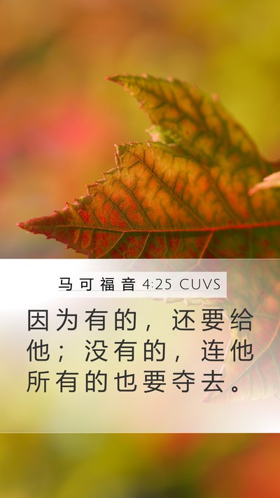 马 可 福 音 4:25 CUVS Mobile Phone Wallpaper - 因 为 有 的 ， 还 要 给 他 ； 没 有 - Mobile Bible Verse Wallpaper