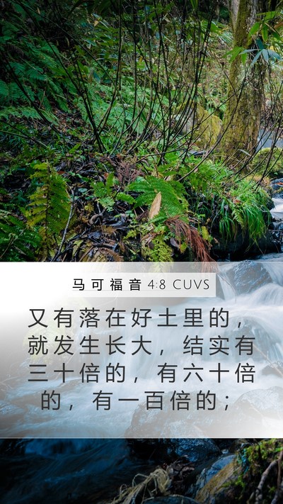 马 可 福 音 4:8 CUVS Bible Verse Image