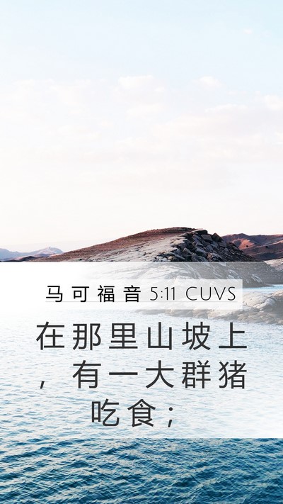 马 可 福 音 5:11 CUVS Mobile Phone Wallpaper - 在 那 里 山 坡 上 ， 有 一 大 群 猪 - Mobile Bible Verse Wallpaper