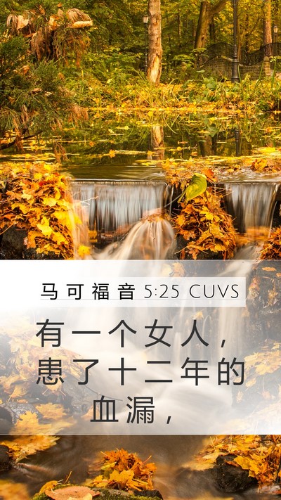 马 可 福 音 5:25 CUVS Bible Verse Image