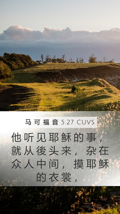 马 可 福 音 5:27 CUVS Bible Verse Image