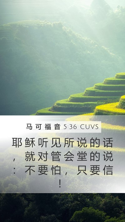 马 可 福 音 5:36 CUVS Mobile Phone Wallpaper - 耶 稣 听 见 所 说 的 话 ， 就 对 管 - Mobile Bible Verse Wallpaper