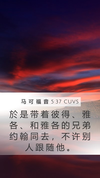 马 可 福 音 5:37 CUVS Bible Verse Image
