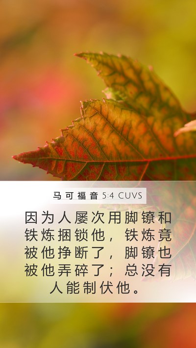 马 可 福 音 5:4 CUVS Mobile Phone Wallpaper - 因 为 人 屡 次 用 脚 镣 和 铁 炼 捆 - Mobile Bible Verse Wallpaper