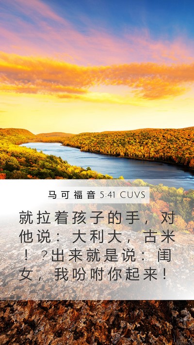 马 可 福 音 5:41 CUVS Mobile Phone Wallpaper - 就 拉 着 孩 子 的 手 ， 对 他 说 ： - Mobile Bible Verse Wallpaper