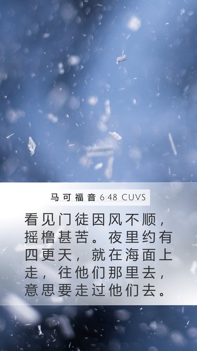 马 可 福 音 6:48 CUVS Bible Verse Image